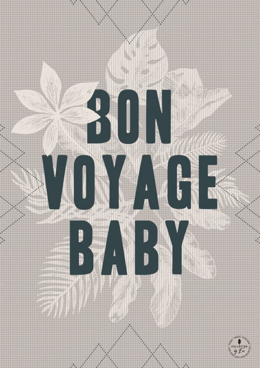 THE INTRO COLLECTION Bon Voyage Baby